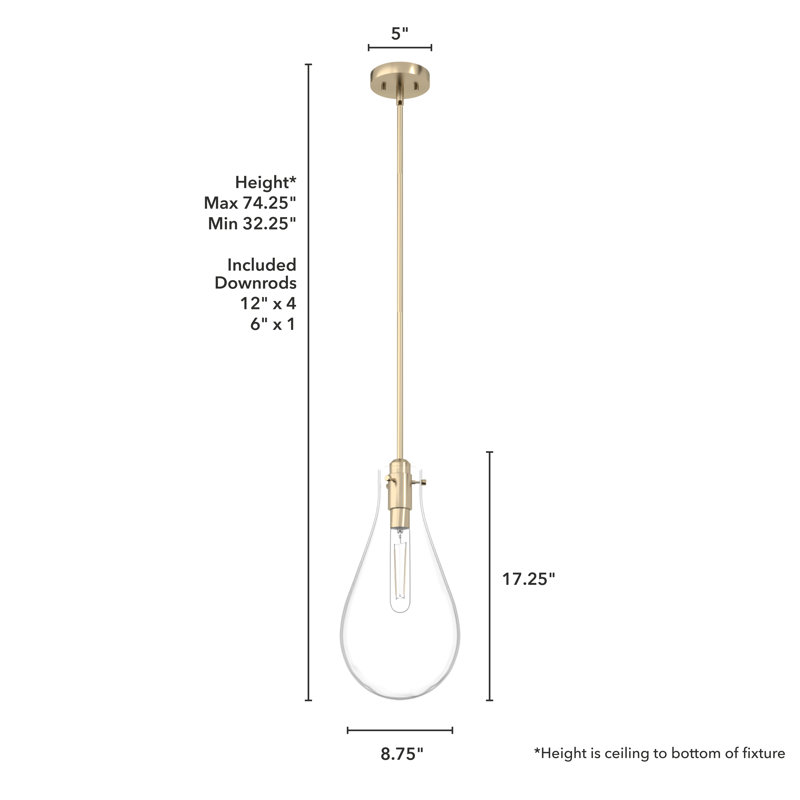 Lundin Palm Gold Mini Tear Drop Pendant Light with Clear Glass