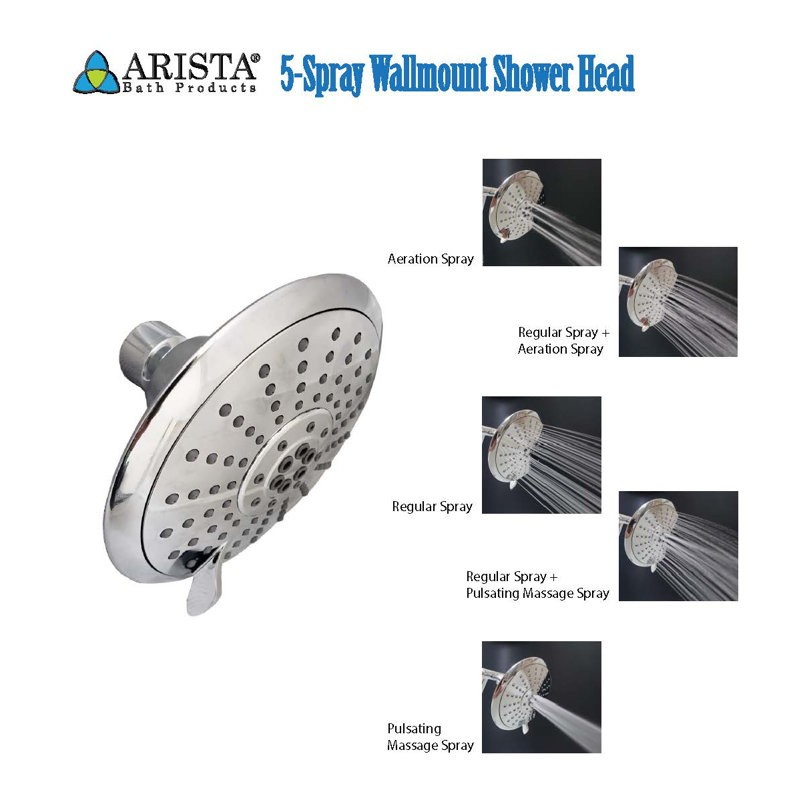 Chrome Polished Wall Mounted Shower Head with Filter