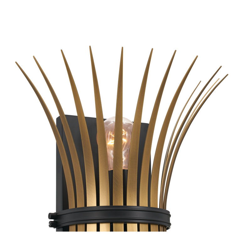 Baile Black and Brass 2-Light Steel Wall Sconce