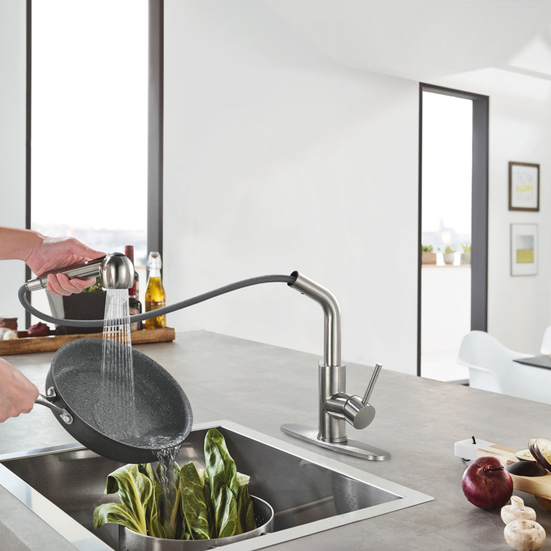 Brushed Nickel Single Handle Pull-out Spray Kitchen Faucet