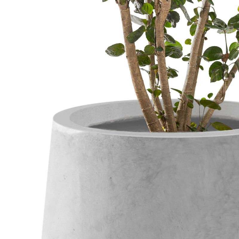 Eco-Friendly Natural Concrete Tall Planters Set of 3 with Drainage