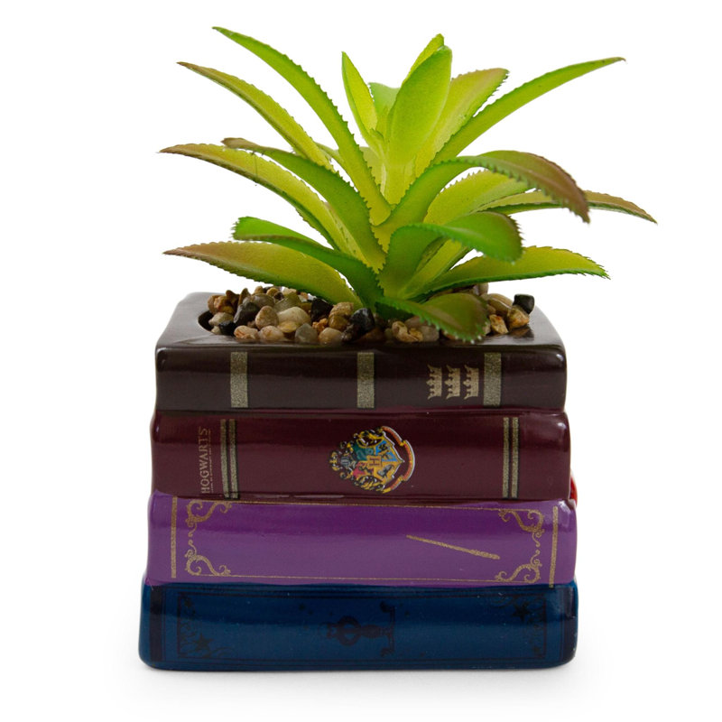 Enchanted Hogwarts Book Stack 3" Ceramic Planter with Faux Succulent