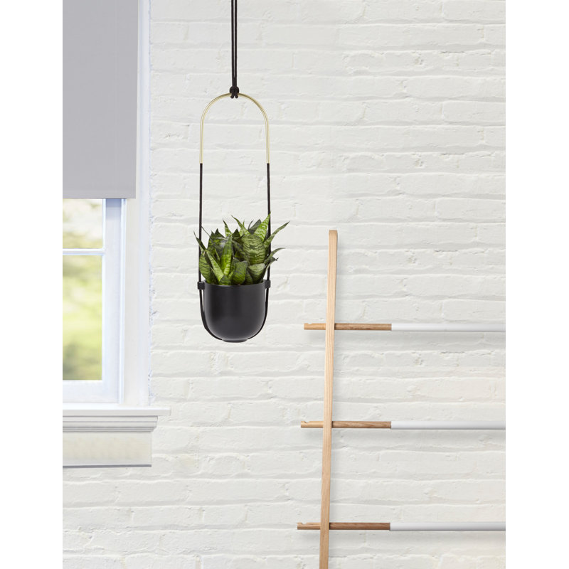 Bolo Soft Curve Black Ceramic Indoor/Outdoor Hanging Planter