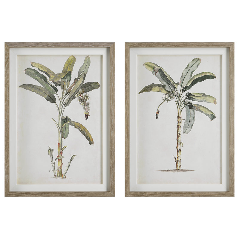 Banana Palm Tropical Framed Print Set with Light Gray Wash