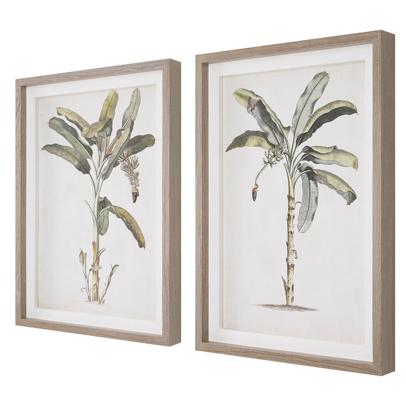 Banana Palm Tropical Framed Print Set with Light Gray Wash