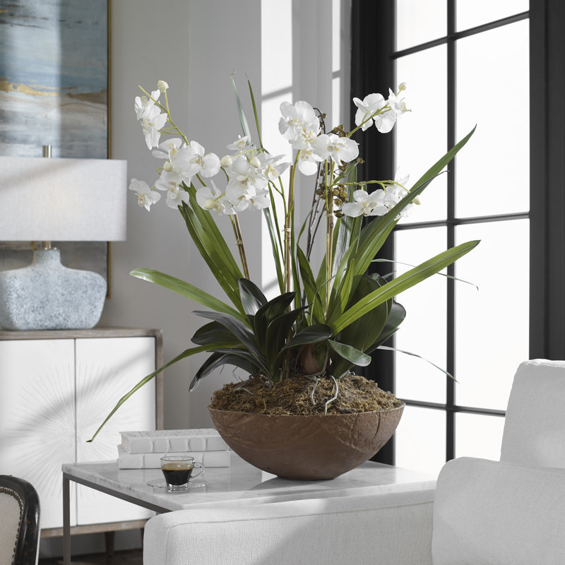 Contemporary Brown and White Moth Orchid 33.5" Planter