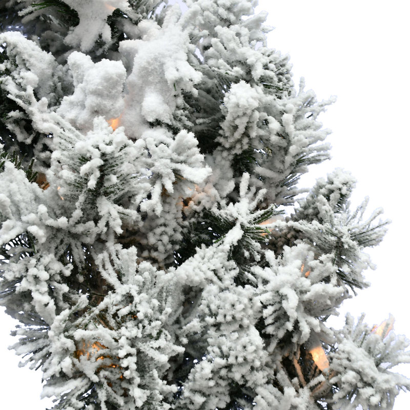 Festive Mountain Pine 36" Flocked LED Wreath