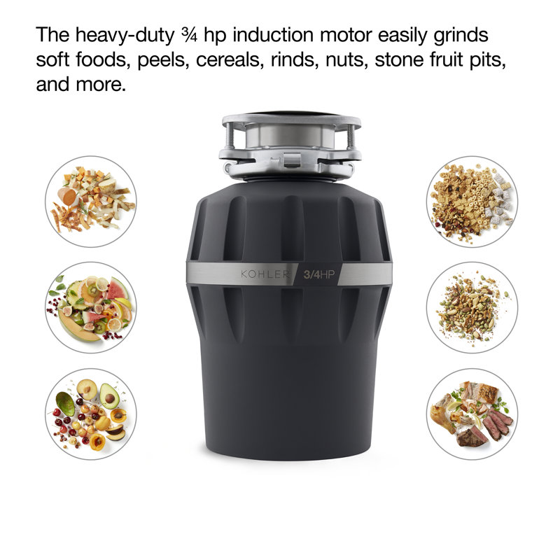 Charcoal Stainless Steel Continuous Feed Garbage Disposal 3/4 HP