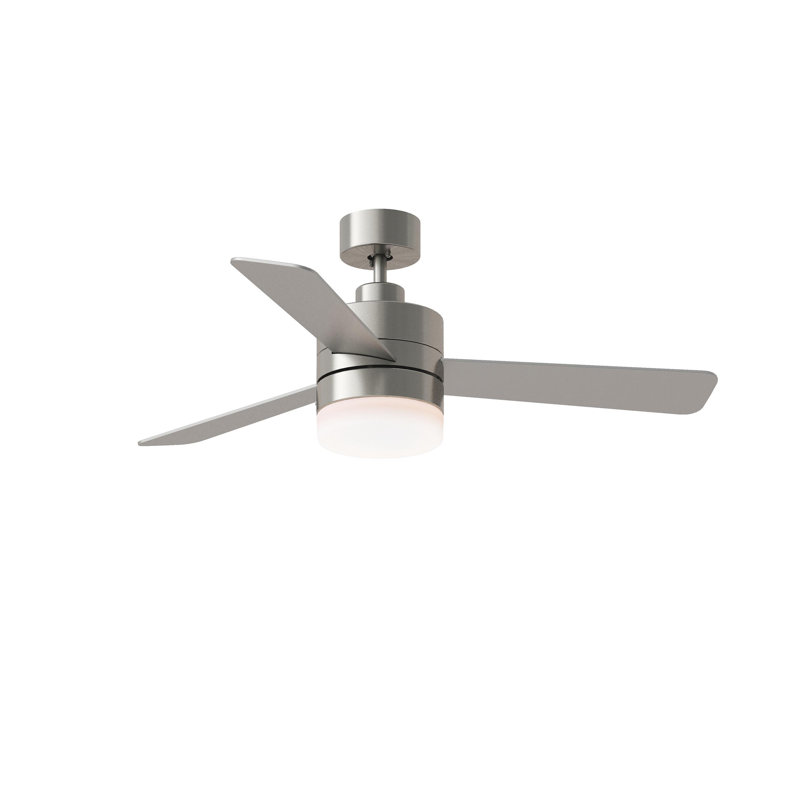 Adna 44'' Brushed Silver Ceiling Fan with Light Kit and Glass Shade