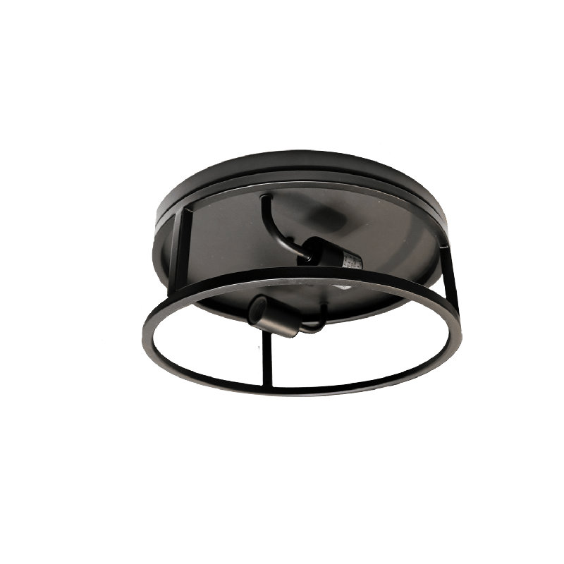 Matte Black 2-Light Round Metal Flush Mount Ceiling Light