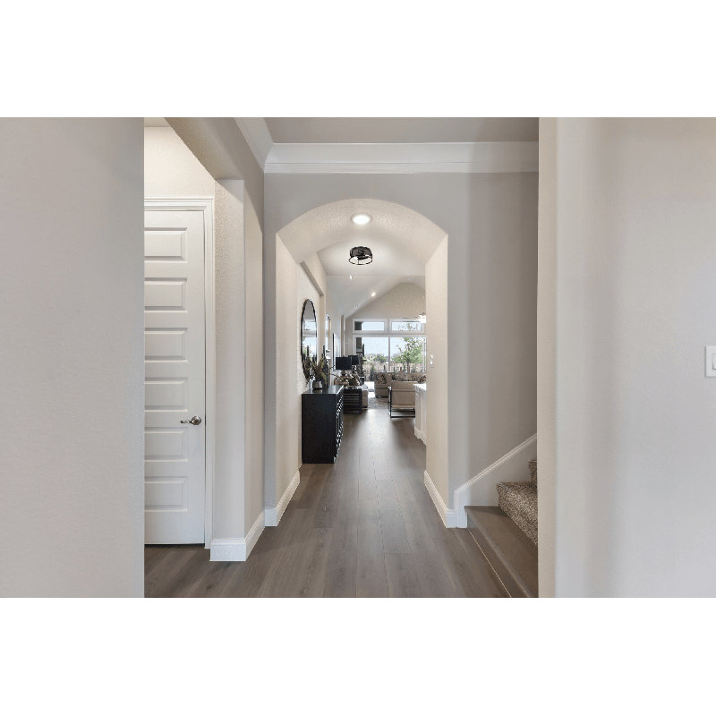 Matte Black 2-Light Round Metal Flush Mount Ceiling Light