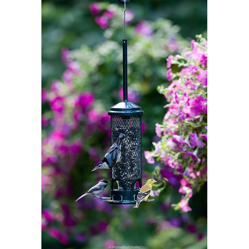 Green Metal and Plastic Squirrel Resistant Hanging Tube Bird Feeder