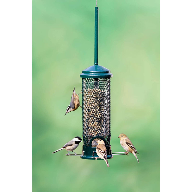 Green Metal and Plastic Squirrel Resistant Hanging Tube Bird Feeder