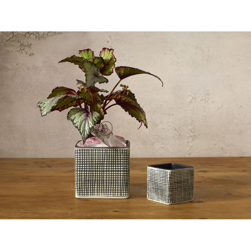 Black and White Checkered Ceramic Cube Planter, 3"