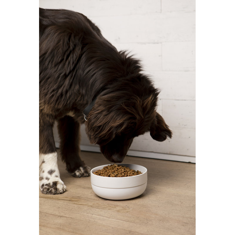 Large White Ceramic Pet Bowl with Non-Slip Silicone Base