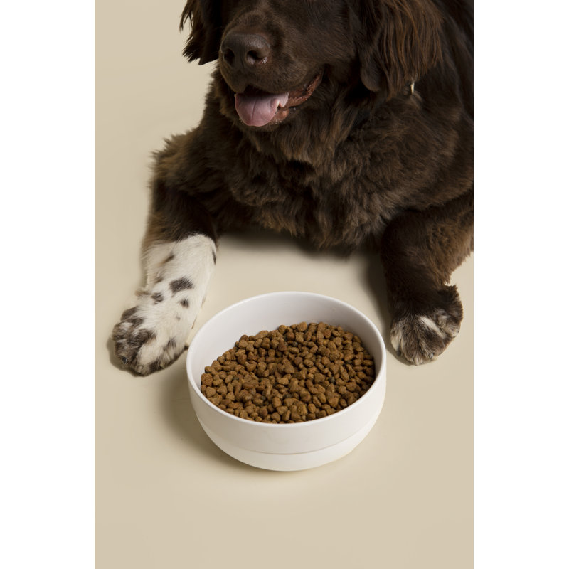 Large White Ceramic Pet Bowl with Non-Slip Silicone Base