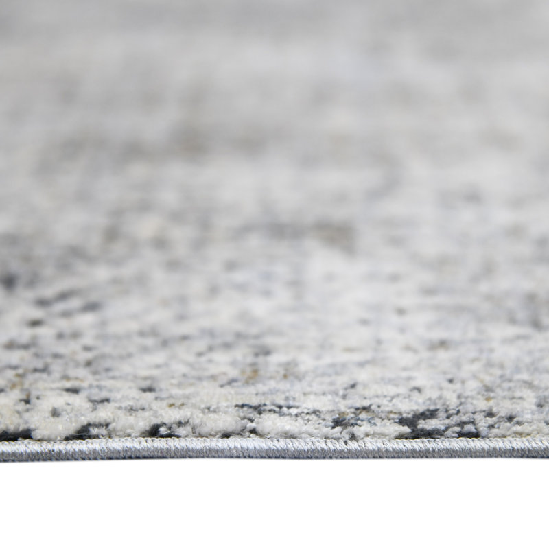 Rosslyn Transitional Gray 7'10" x 9'10" Synthetic Oriental Area Rug