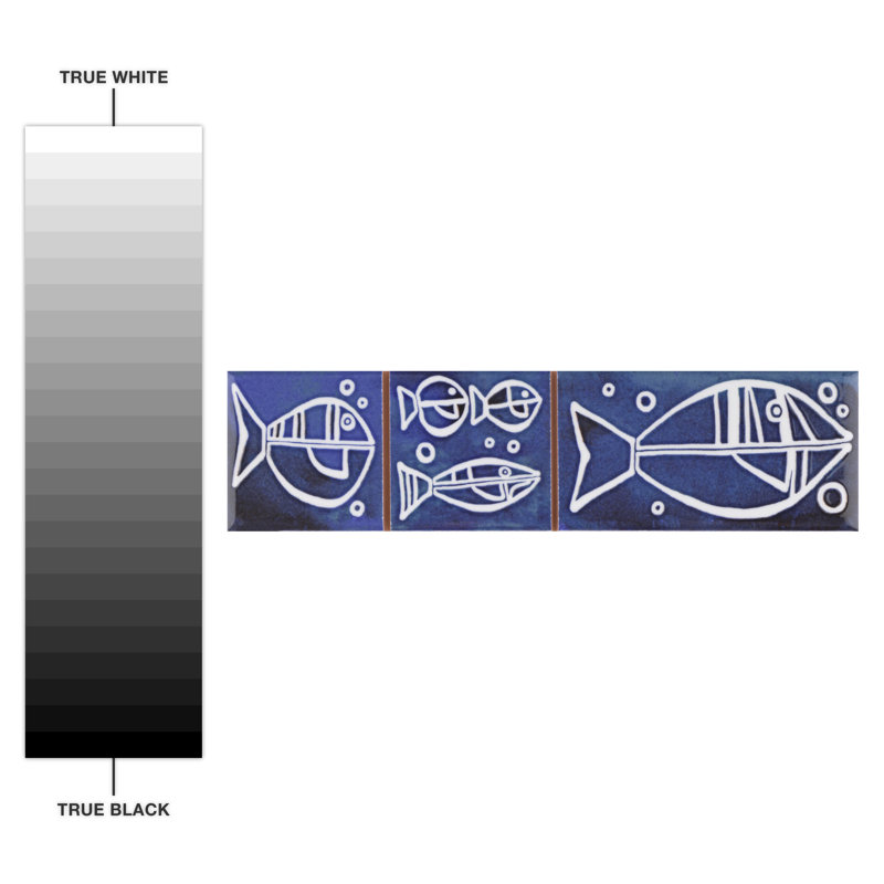 Captain Aquatico Blue Glossy Ceramic Wall Tile