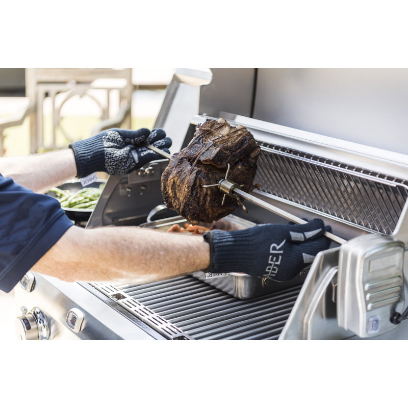 Stainless Steel Rotisserie Kit with Case and Motor