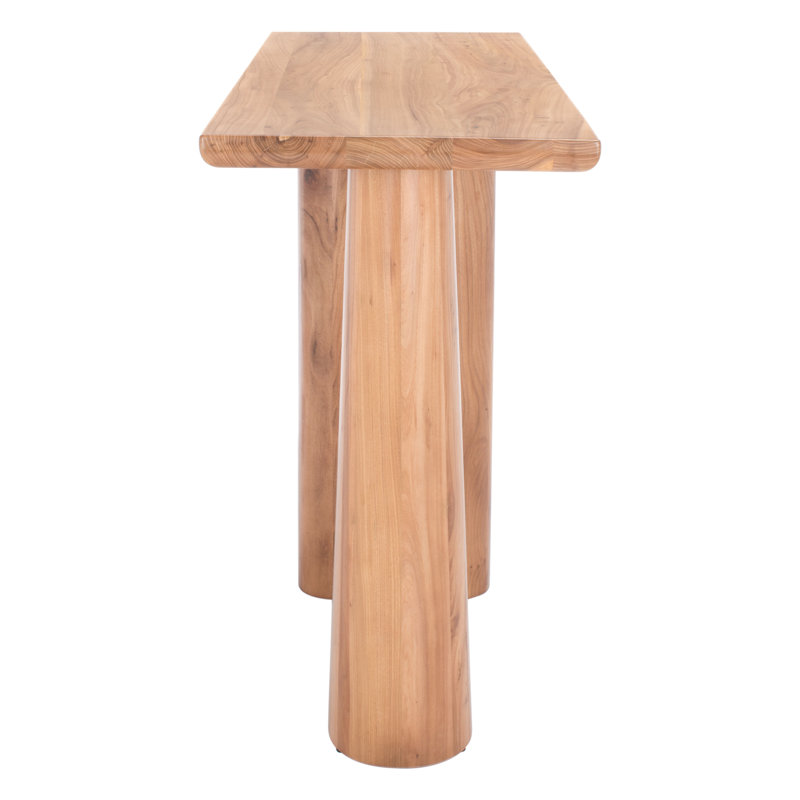 Ryllae 50'' Elm Wood and Metal Console Table with Glass Storage