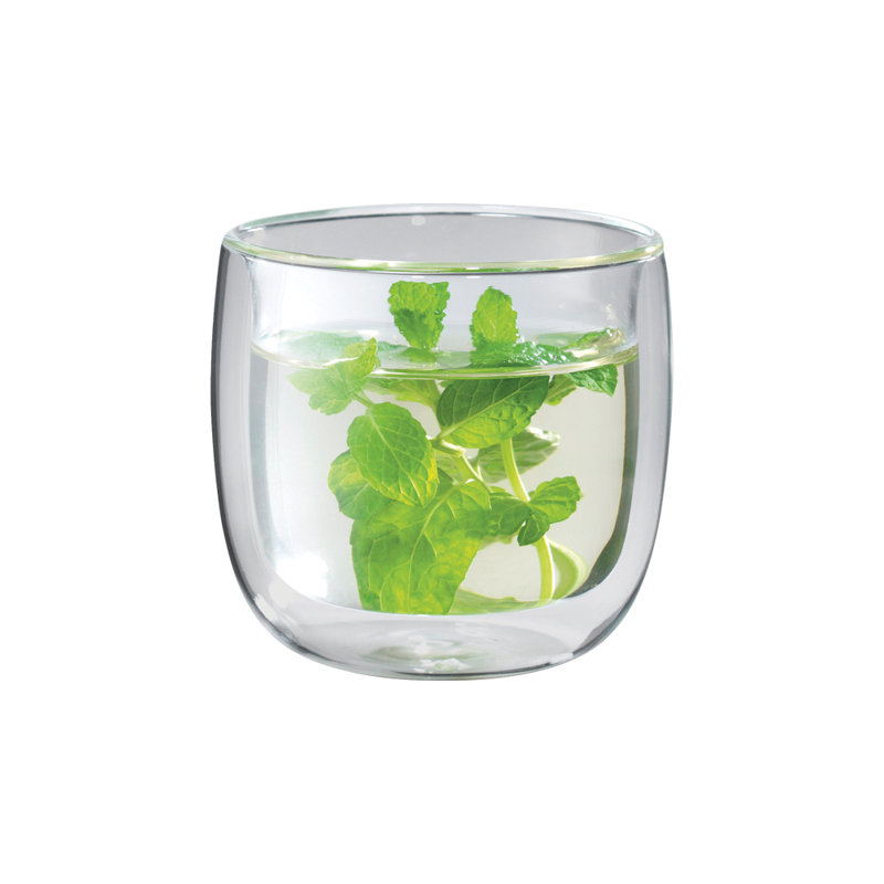 Clear Double-Wall Glass Tea Cups Set of 2