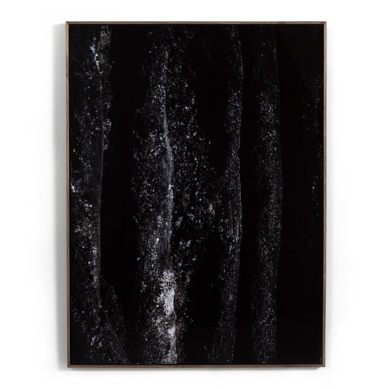 Char VIII Black and Walnut Metal Print on Canvas