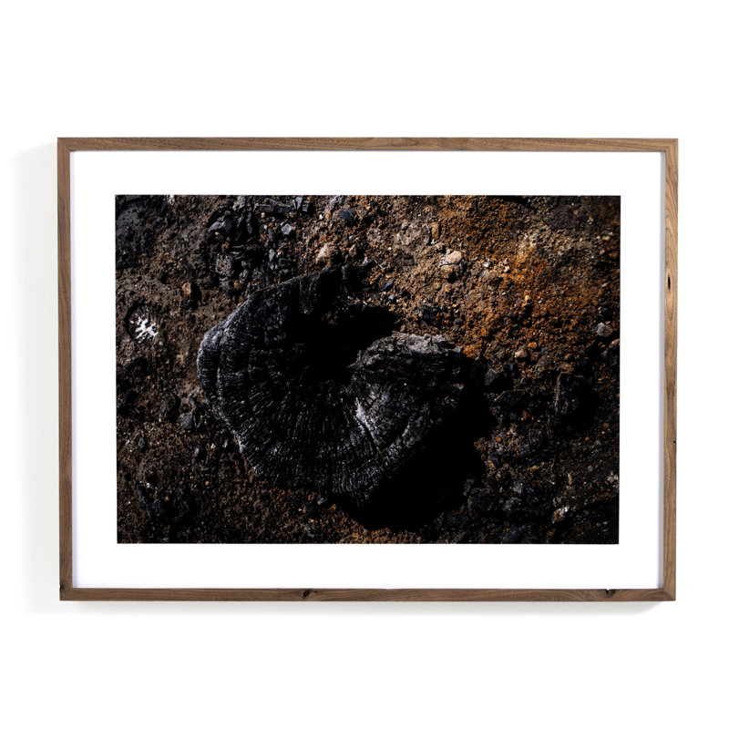 Char X Walnut Framed Photography Print 40" x 30"