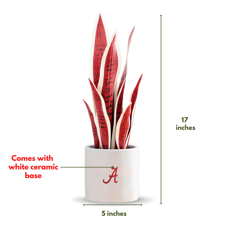 Eternal Green 18'' Faux Snake Plant in Plastic Pot