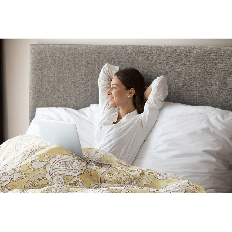 Queen Wheat Paisley Print Microfiber Bed in a Bag Set