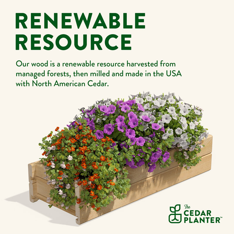 Eco-Friendly Cedar Rectangular Large Outdoor Planter Box, 32" x 11"