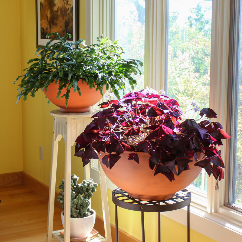 Solaria Burnt Sienna Geometric Galvanized Steel Bowl Planter