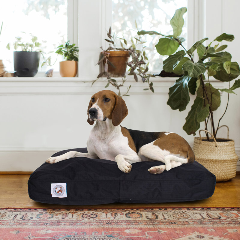 X-Large Black Waterproof Orthopedic Elevated Dog Bed