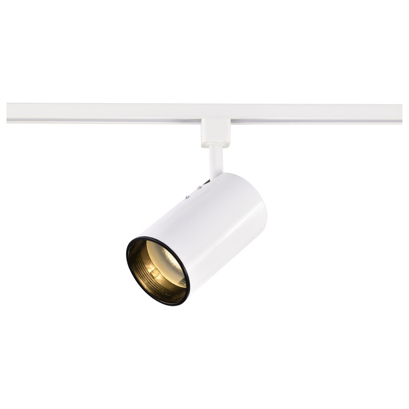 White Adjustable Straight Cylinder Track Head Light