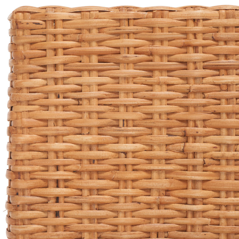 Parsons Transitional Honey Oak Cane Side Chair