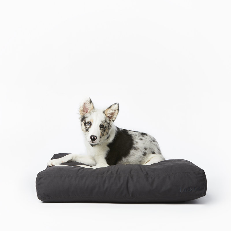 X-Small Dark Shadow Orthopedic Waterproof Dog Bed