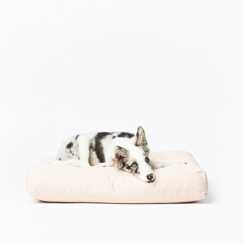 Medium Rose Dust Waterproof Orthopedic Pet Bed