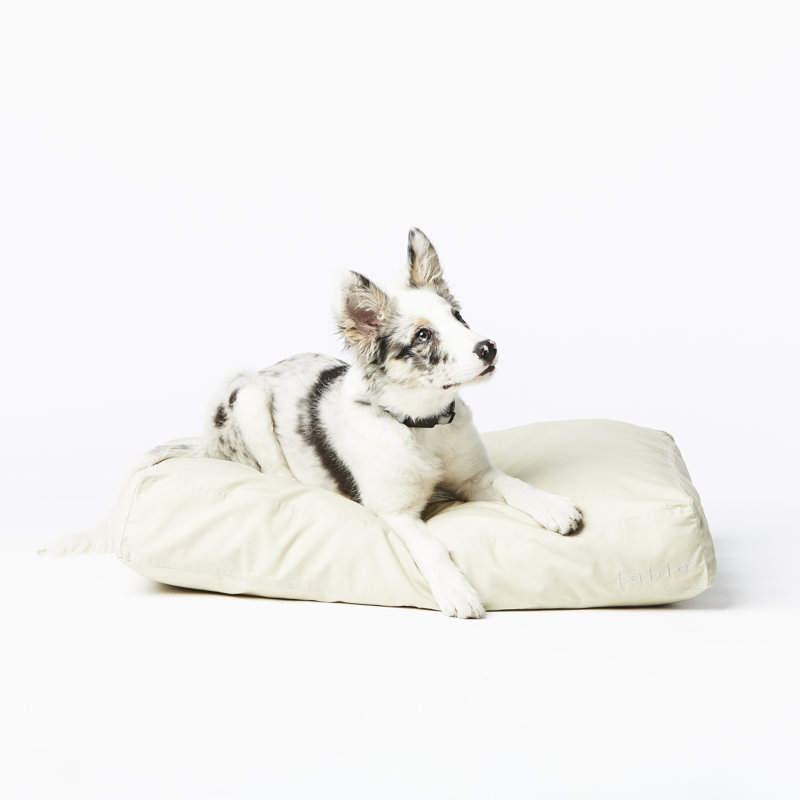 Medium Rose Dust Waterproof Orthopedic Pet Bed