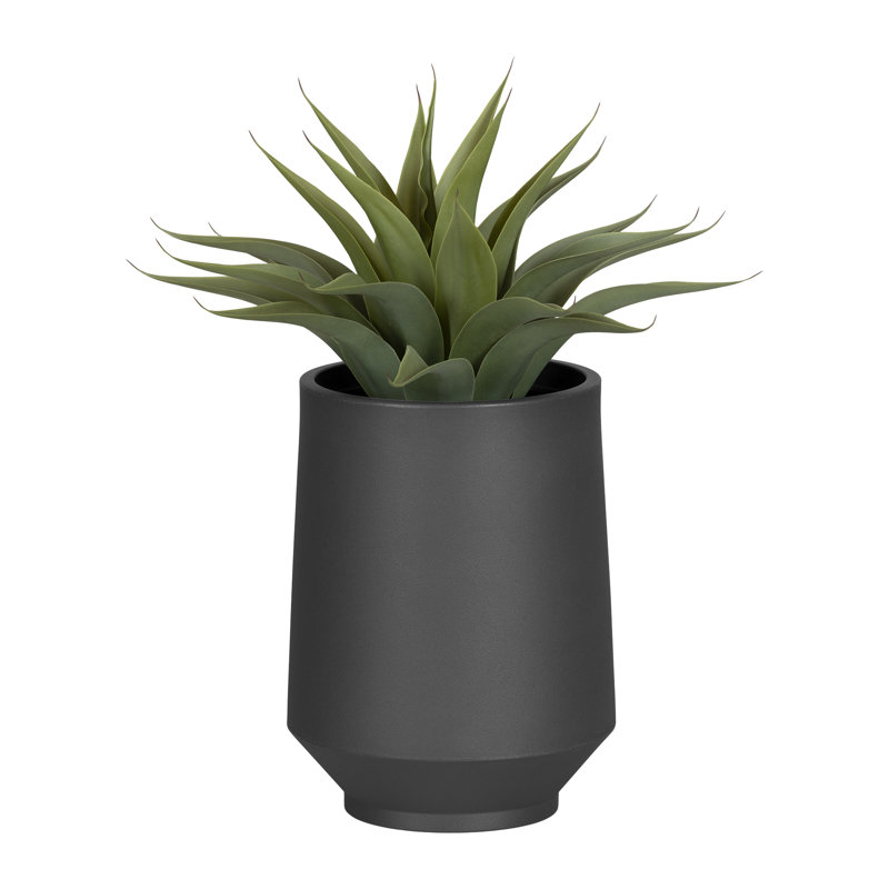 Dalya Dark Gray Polyethylene Indoor/Outdoor Planter