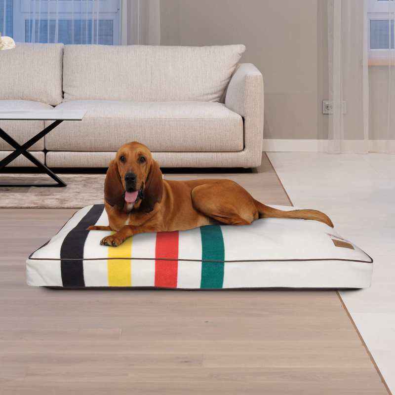 Small Orthopedic Outdoor Elevated Pet Bed with Stripes