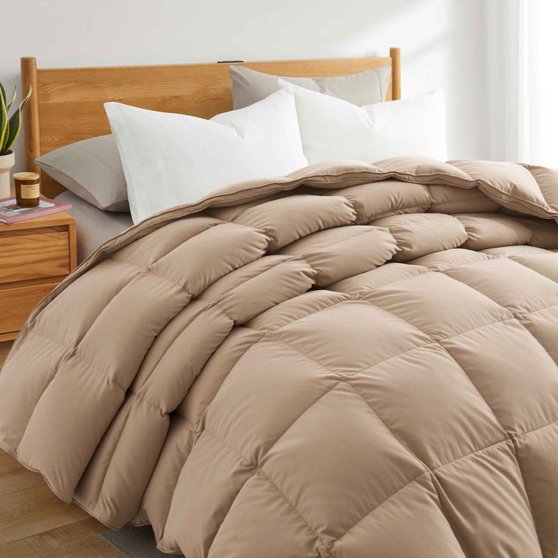 Ginger Root Twin Microfiber Duvet for Adults