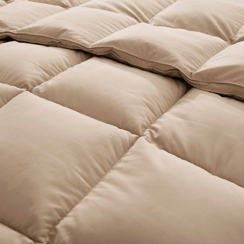 Ginger Root Twin Microfiber Duvet for Adults