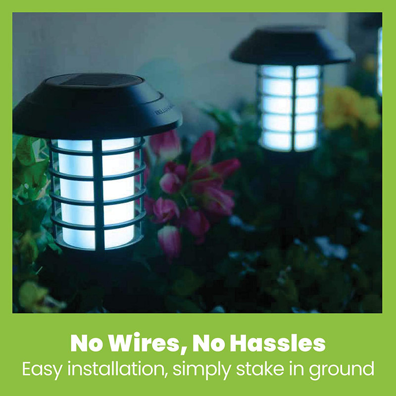 Black Solar Powered LED Pathway Light Set with Flame Mode