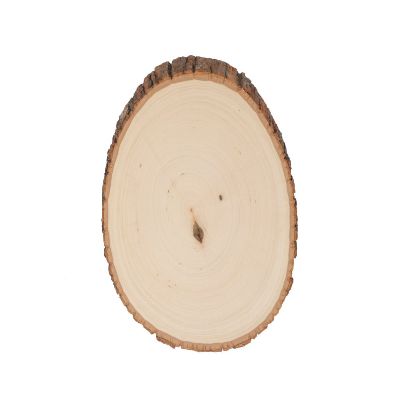 Natural Basswood Round Craft Plaque with Bark Edge