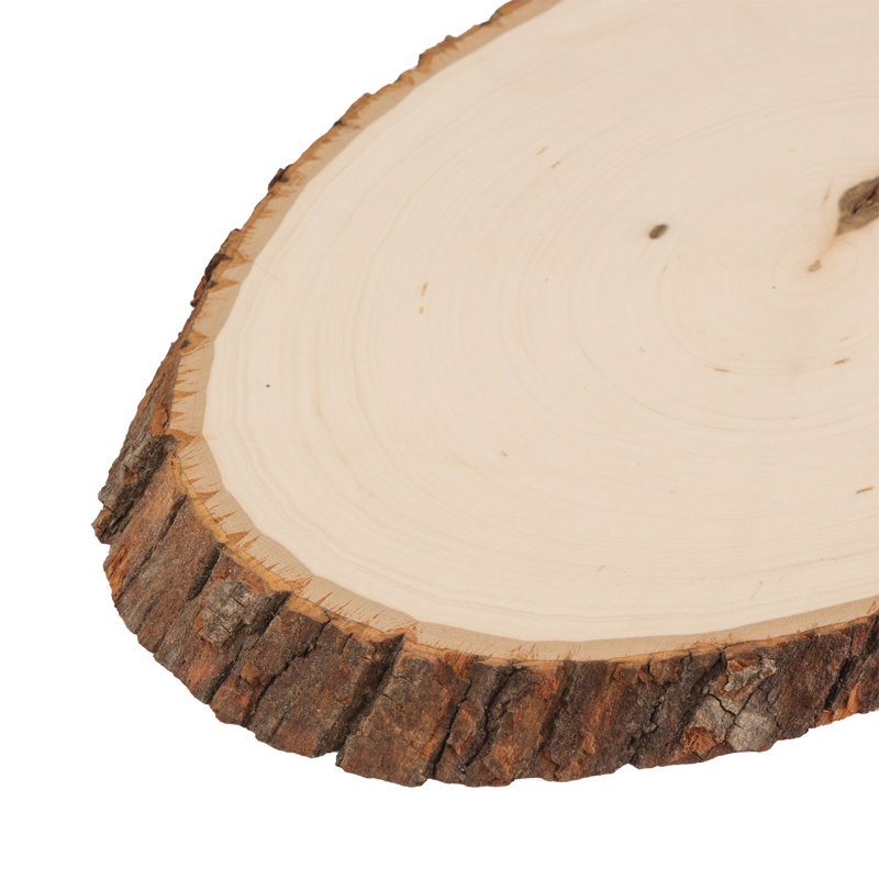 Natural Basswood Round Craft Plaque with Bark Edge