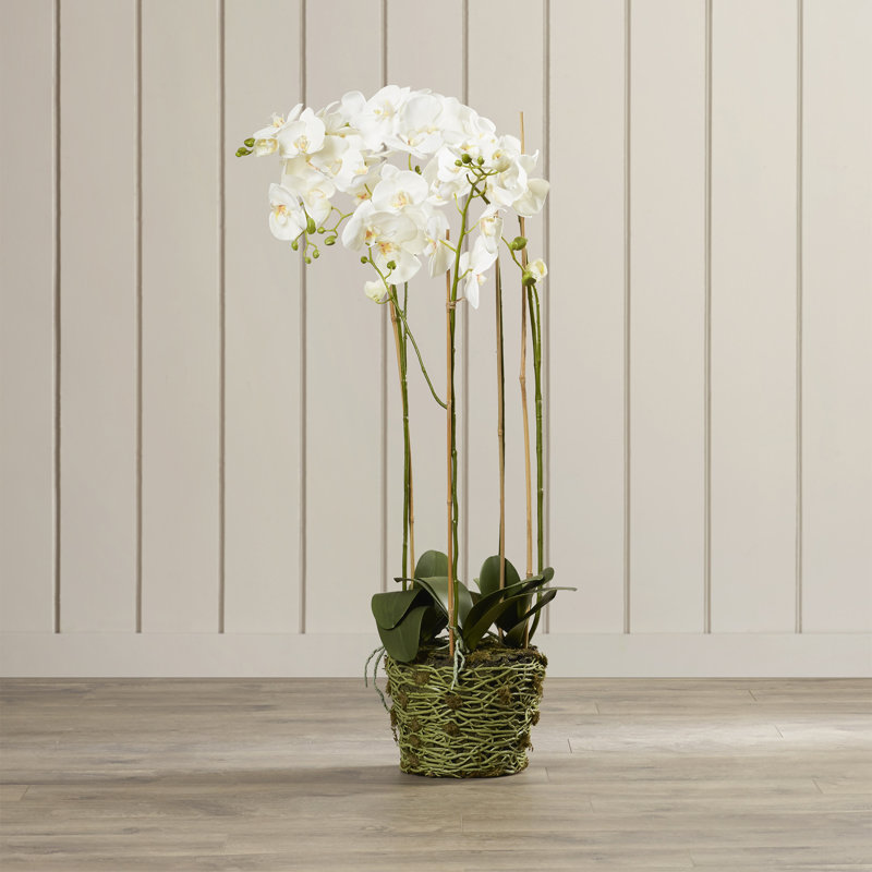 White Orchid Faux Potted Plant for Outdoor Tabletop