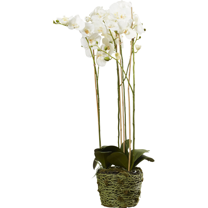 White Orchid Faux Potted Plant for Outdoor Tabletop