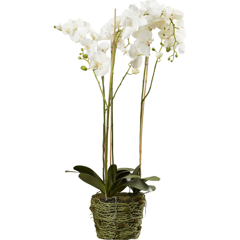 White Orchid Faux Potted Plant for Outdoor Tabletop