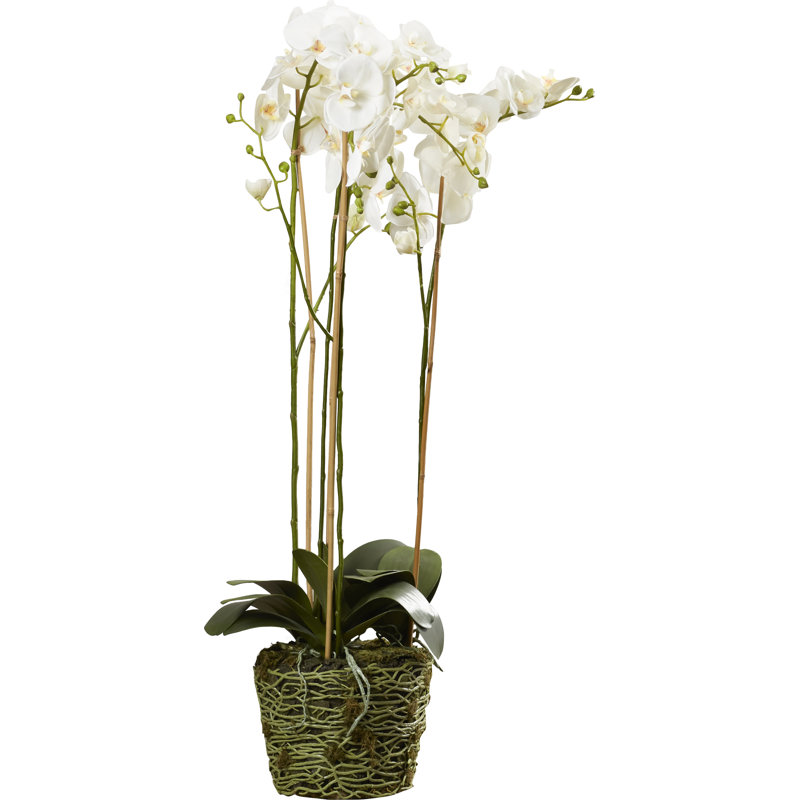 White Orchid Faux Potted Plant for Outdoor Tabletop
