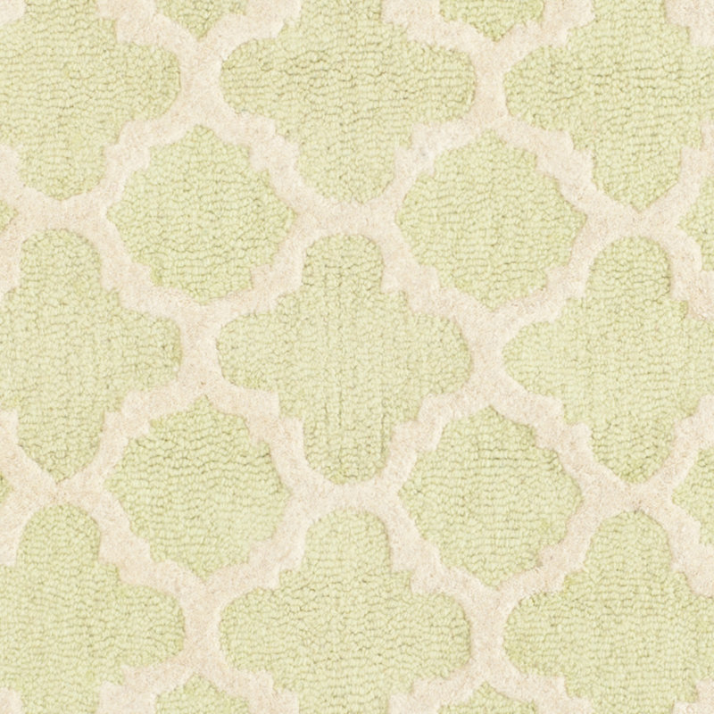 Hand-Tufted Light Green/Ivory Wool 4' x 6' Cozy Area Rug