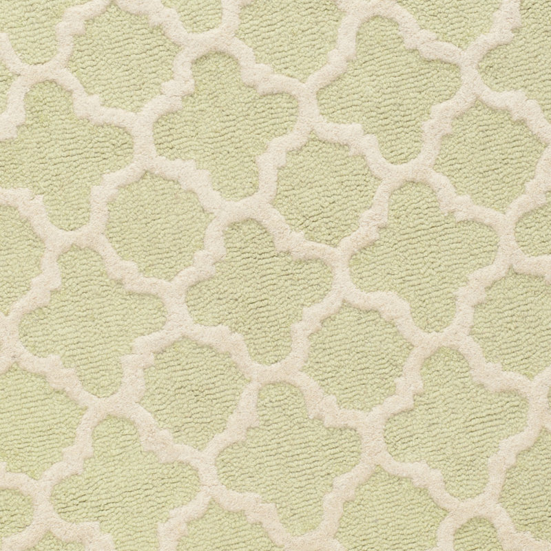 Hand-Tufted Light Green/Ivory Wool 4' x 6' Cozy Area Rug